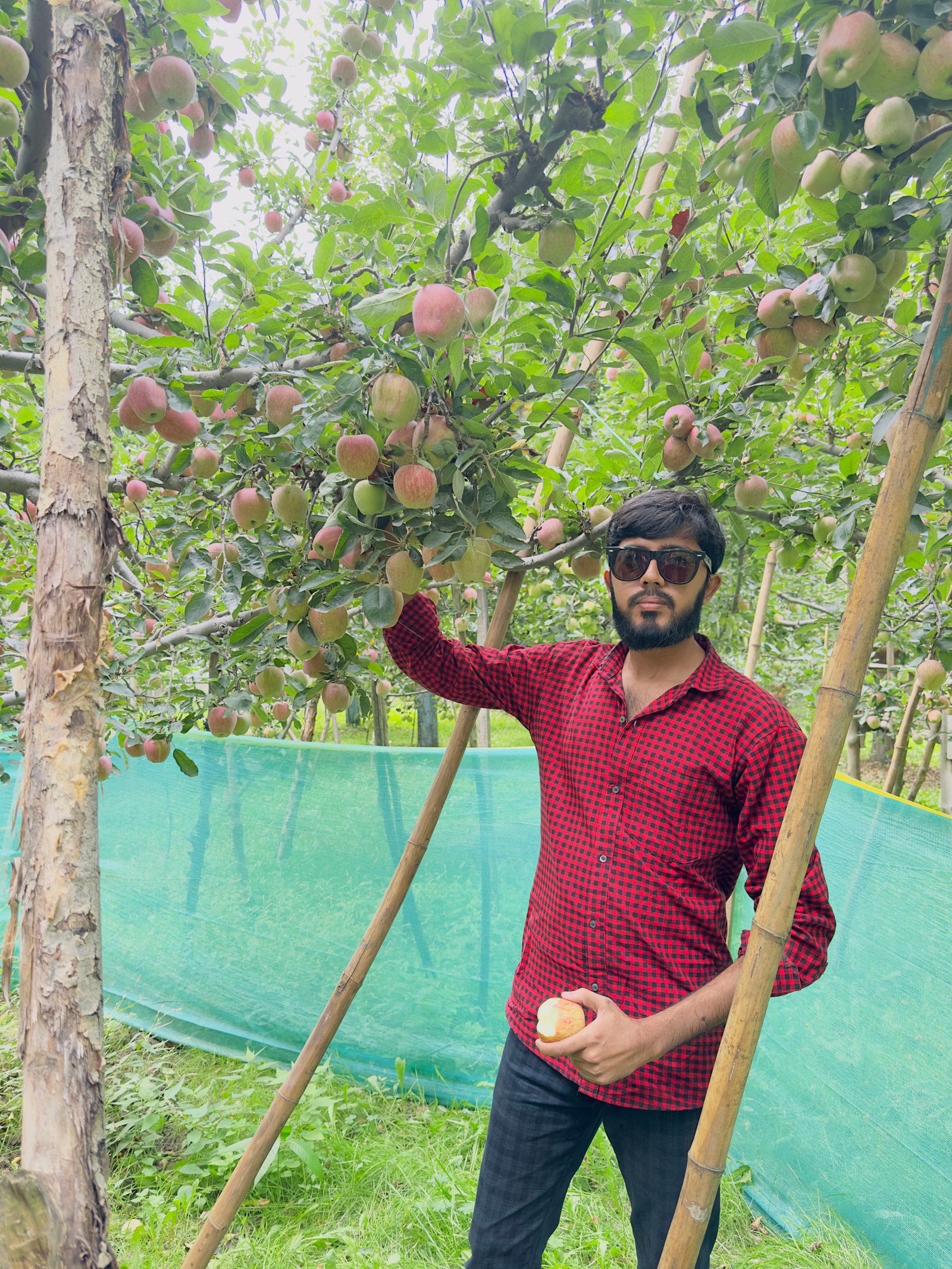 Pahalgam, Kashmir Travel - Image 4