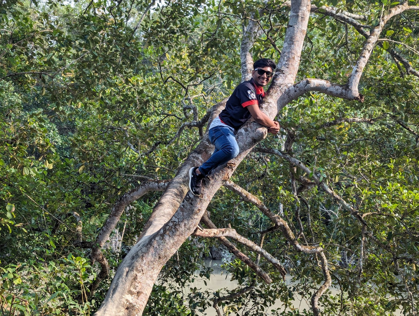 Sundarbans Expedition - Image 11